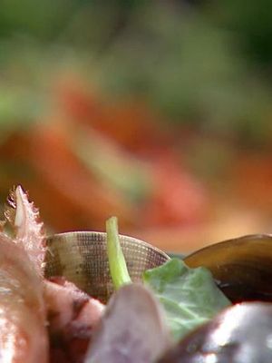 Terhin lounaalla herkutellaan suomalaisklassikon ranskalaisversiolla! 